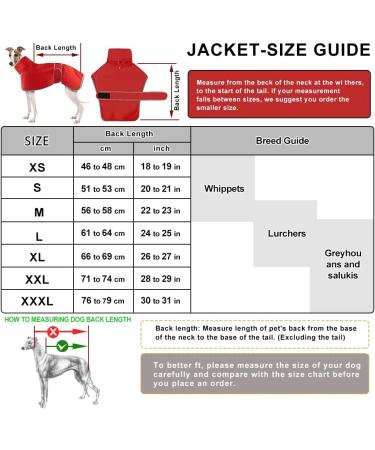 Premium Greyhound Waterproof Rain Coat - Lightweight Whippet Coat for All Seasons | Medium & Large Dog Sizes | Perfect for Ambushes - M Red - Buy Online on GoSupps.com