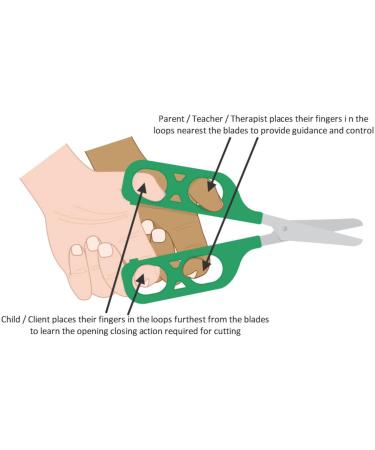 PETA Easi-Grip Left Handed Dual Control Teaching Scissors - Stainless Steel, Double Loop Handle, Ideal for Scissor Skills Development and Special Needs - Buy Online on GoSupps.com