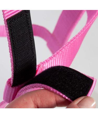 Buy PFIFF 102920 Joky Halter - Nylon Pink Pony Halter for Pasture & Paddock | International Shipping - Buy Online on GoSupps.com