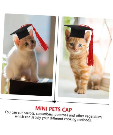 Beavorty 2-Part Elastic Doctor Cap Hat Set for Dogs - Stylish Dog Clothing & Headband for Men - Party & Costume Accessory - Red 5.5x3.5cm - Buy Online on GoSupps.com