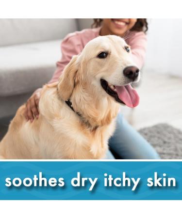 Oatmeal Aloe Vera Dog Shampoo for Dry Itchy Flaky Skin Gentle on Sensitive Skin & Hypoallergenic | Natural Soothing Anti Itch Anti Dandruff & Allergy Relief Dog Conditioner | Pikes Pouches (300ml) 300 ml (Pack of 1) - Buy Online on GoSupps.com