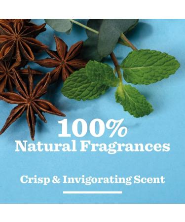 BULLDOG SKINCARE Peppermint & Eucalyptus Body Care Duo Giftset for Men - Shower Gel & Sensitive Moisturiser - Buy Online on GoSupps.com