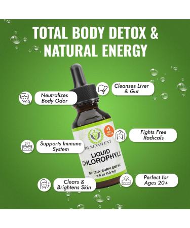 Chlorophyll Liquid Drops - Energy Boost & Immune Support | Internal Deodorant | Altitude Sickness Relief | Premium Quality Natural Formula | Minty Taste | 2X Absorption - Buy Online on GoSupps.com