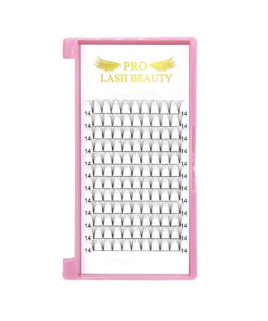 Buy 8D-D0.07-Mix Short Stem Eyelash Extensions | Volume D Curl 0.07mm | Finished Eyelash Compartments (8-14mm) - Buy Online on GoSupps.com