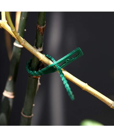 WILLBOND Adjustable Garden Plant Ties - 200 Pieces - Cable Tie - Buy Online on GoSupps.com