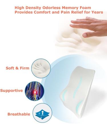 Tektrum Orthopedic Lumbar Cushion for Back Pain Relief - Ergonomic Support for Home Office & Car Seat - Improve Posture - Black (015-A - Buy Online on GoSupps.com