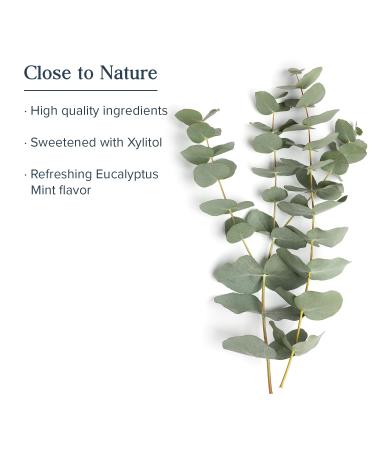 Heritage Store Hydrogen Peroxide Mouthwash - Eucalyptus & Fresh Mint - Gentle Oral Care for Healthy Gums Sweetened with Xylitol 16oz - Buy Online on GoSupps.com