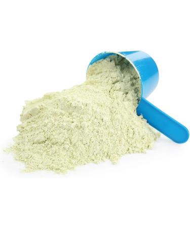 DrFormulas Lactose Free Whey Protein Isolate Powder with Lactase Organic Matcha with Vanilla Flavor 1 lb - Buy Online on GoSupps.com