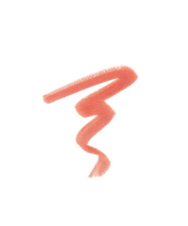 Anastasia Beverly Hills Lip Liner in Sunbaked - Define & Enhance Your Lips - Buy Online on GoSupps.com