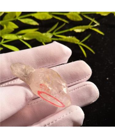 Natural Crystal Rough Rare!Natural Clear Quartz Movable Water Gall Stone Fengshui Crystal Stones - Buy Online on GoSupps.com