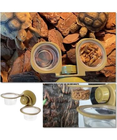 NBXINSLF Reptile Feeding Bowl Gecko Transparent Feeding Basin Reptile Food Bowl Water Dish for Reptiles Food and Water Feeding - Buy Online on GoSupps.com