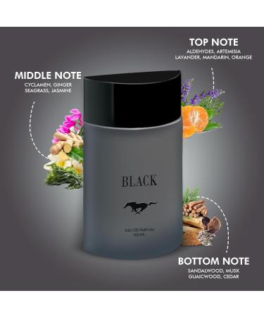 Black Eau De Parfum Long Lasting Perfum | Eau De Perfum | Long Lasting Fragrance Perfum | For Men & Women | 100ml - Buy Online on GoSupps.com