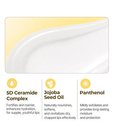 Torriden SOLID In Ceramide Lip Essence - 2 Pack Moisturizing Lip Balms with Organic Jojoba Oil & Ceramides for Glowy Plumped Lips - Korean Skin Care - Buy Online on GoSupps.com