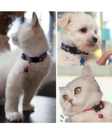 Maiyaduo Adjustable Cat Neck Band with Bell Reflective Fluorescent & Quick Lock Safety Buckle for Domestic Cats - Buy Online on GoSupps.com