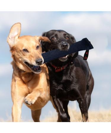 Dongker Bite Sausage for Dogs | 30cm Durable K9 Tug Toy | Robust Training & Play | Blue - Buy Online on GoSupps.com