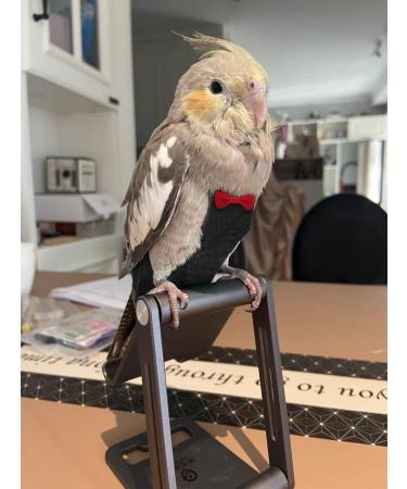 Buy Kuso Reusable Washable Diapers for Parrots | Kimono Bird Clothing for Budgies Cockatoos African Greys & More (XL Black) - Buy Online on GoSupps.com