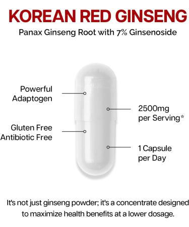 Just Glow Korean Red Ginseng 2500mg 120 Capsules - 5:1 Panax Ginseng Extract 500mg Per Serving - Standardized 7% Ginsenoside - Enhance Physical Performance & Increase Energy - 4 Months Supply - Buy Online on GoSupps.com