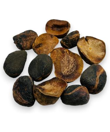 Whole Dried Kola Nuts 85g - 1 95Kg Premium Quality Cola Acuminata (85 Grams) - Buy Online on GoSupps.com
