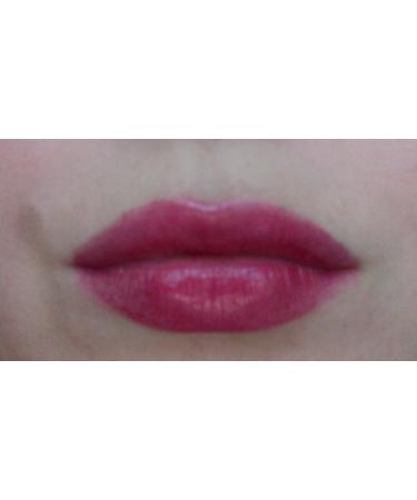Sheer Shine Stylo Argan Oil Lipstick with SPF 25 - #32 Plum by Golden Rose | Shop Internationally - Buy Online on GoSupps.com
