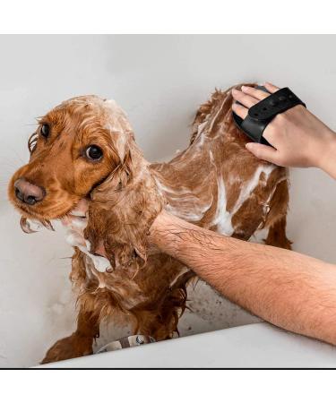 GloryPet 4 in 1 Professional Pet Grooming Kit: Brush, Deshedding Tool, Nail Clippers & Dematting Comb for Dogs/Cats - Long & Short Hair, Medium & Large Breeds (Black) - Buy Online on GoSupps.com