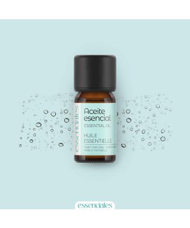 Essenciales Ruta Essential Oil 30ml | 100% Pure & Natural Ruta Graveolens | International Shipping - Buy Online on GoSupps.com