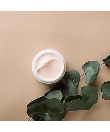 Collagen & Vitamin Face Cream for Dry/Normal Skin - Nourishing Formula with Fermented Honey Extract | 1.7 Fl Oz - Buy Online on GoSupps.com