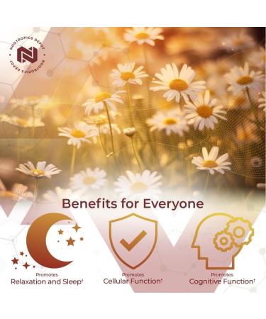 Nootropics Depot Apigenin Capsules | 50mg | 60 Count | 98% Apigenin | Supports Relaxation Joint Health and NAD+ Levels 1 Count (Pack of 60) - Buy Online on GoSupps.com