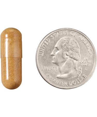 Revly Trans-Resveratrol 250mg - 60 Capsules | 2-Month Supply | Vegan Formula by Amazon Brand - Buy Online on GoSupps.com