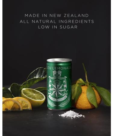 East Imperial Premium Yuzu Lemonade Cans - 6.1 Fl Oz (Pack of 10) | No Artificial Sweeteners, Flavorings, or Preservatives - Buy Online on GoSupps.com