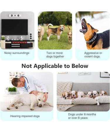 Bubbacare Anti Barking Device | Ultrasonic Dog Bark Deterrent | 3 Modes for All Dog Sizes | Gentle & Effective Bark Control - Buy Online on GoSupps.com