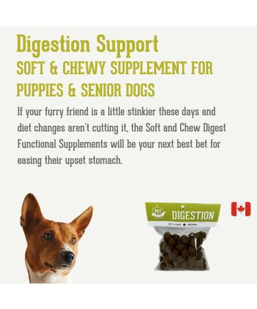The Granville Island Pet Treatery Soft & Chewy Supplement Digestion Supplement for Dogs Perfect Hemp Based Supplement for Puppies & Senior Dogs Made in Canada Fish (For Digestion) - Buy Online on GoSupps.com