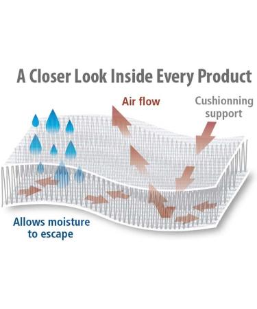 Shop X-Small Right Palm Protector for Ultimate Comfort & Support - International Shipping Available - Buy Online on GoSupps.com
