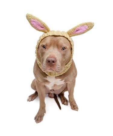 Zoo Snoods Jack Rabbit Dog Costume, Large - Warm No Flap Ear Wrap Hood for Pets, Dog Easter Outfit with Rabbit Ears, Soft Yarn Ear Covers for Winters, Halloween, Christmas & New Year Large 1