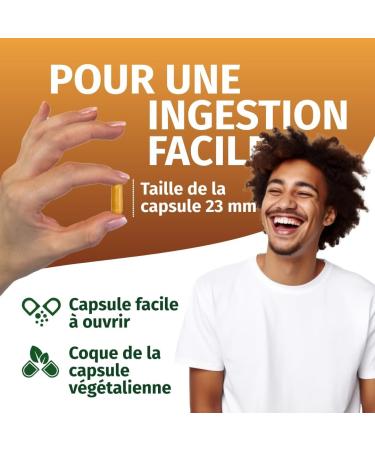 Fenugrec Gelule - Haute dose: 2600mg avec 50% de saponines - V g talien Test en laboratoire Sans lactose Sans gluten - 240 capsules - Green Naturals  - Buy Online on GoSupps.com