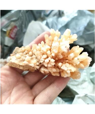 Natural Crystal Rough Rare Natural Raw Quartz Crystal Cluster Stones Crystal Point Home Decoration Raw Crystals (Size : 40-70g) - Buy Online on GoSupps.com