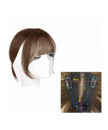 Bangs Clip in Bangs Transparent Swiss Lace Human Hair Bangs Clip In Fringe Hairpieces Extension For Women Breathable Remy Hair Bangs for Women Curved Bangs for Daily Wear (Color : 8x10 Brown)