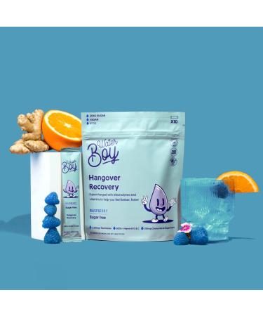 Waterboy Hangover Relief Electrolyte Powder Packets - 3170mg Electrolytes - Dehydration & Hangxiety Relief - Hangover Kit Essential - Blue Raspberry - 10 Count - Buy Online on GoSupps.com
