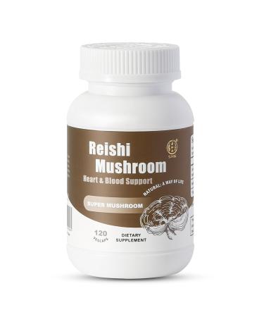 SXG Organic Reishi Mushroom Capsules Heart & Blood Health Immune Support Herbal Supplement Vegan Gluten Free 120 Count (30 Servings) 1 Count (Pack of 1)