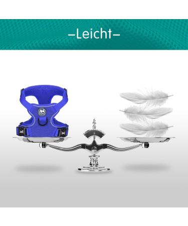 POPOTET Reflective Dog Harness | Soft & Breathable Mesh Vest | Adjustable Neck & Breast | Royal Blue | Size S | Suffocation-Free & Double Padded - Buy Online on GoSupps.com