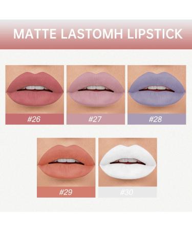 AMY S DIARY Matte Plum Liquid Lipstick Set - 5Pcs Waterproof Smudge-Proof Lip Stains for Women | 24-Hour Long Lasting Nude & Gray Shades - Buy Online on GoSupps.com