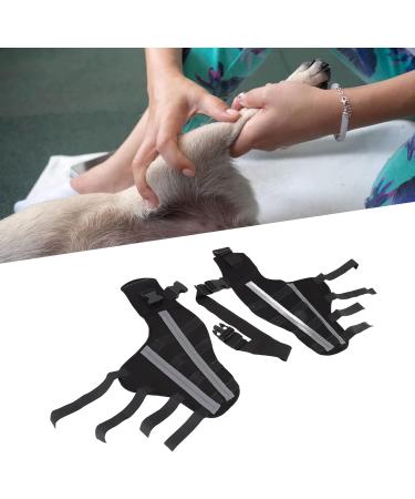 Dog Back Leg Brace Shockproof Inflammation Reduction Pet Knee Joint Protector Stable Pain Relief for Injury Recovery (S) - Buy Online on GoSupps.com