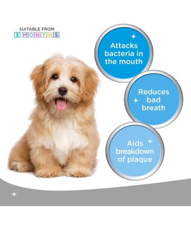 Logic Prozym Chews for Medium to Large Dogs - Neutral Flavor - Buy Online on GoSupps.com