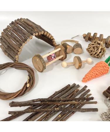 Hamster Kielzeuge Set - 10 Natural Wooden Guinea Pig Toys for Dental Care & Exercise | Ideal for Rats & Chinchillas - Buy Online on GoSupps.com