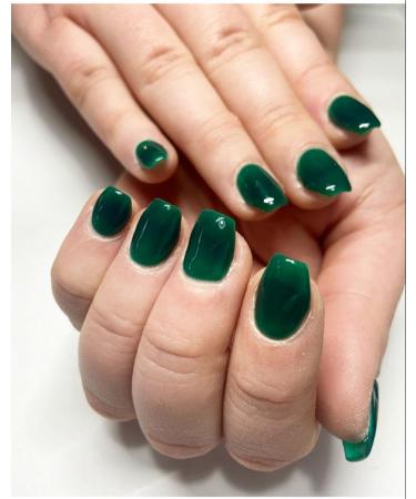 Lola Lee Gel Polish | Dinosaurs Still Exist | GP115 | 15ml |Long-Lasting | Chip Proof | Soak-Off | Nail Art | Manicure & Pedicure | Easy to Apply |Salon and Home Use | LED UV Lamp - Buy Online on GoSupps.com