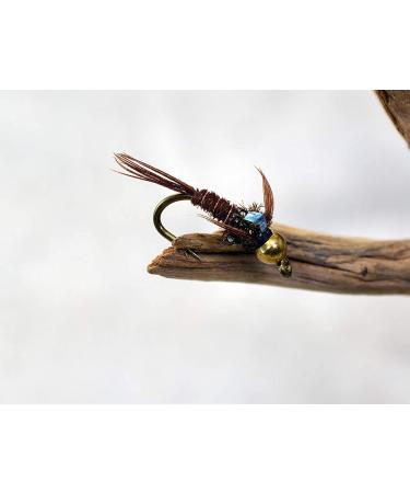 Bead Head Flash Back Pheasant Tail Mayfly Nymph Flies on Mustad Signature Fly Hooks - 12 Pack, Hook #12 - Buy Online on GoSupps.com