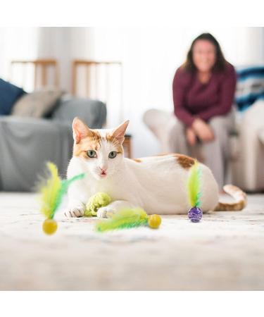 5 Pcs Cat Toys Balls with Feather Teaser Interactive Kitten Toys Colorful Cat Balls Toy Funny Cat Feather Toys for Indoor Outdoor Playing Chasing Chewing Training (Random Colours) - Buy Online on GoSupps.com