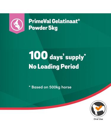 PRIMEVAL Gelatinaat Powder Supports and Contributes to the Flexibility and Joint Function of the Horse Complementary Food Based on Collagen Type I and II Magnesium Calcium 2 kg Bucket - Buy Online on GoSupps.com