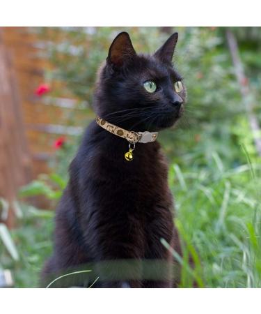 Tagme Personalized Cat Collar Set - Adjustable Safety Closure with Name & Phone Number 2-Pack Brown (18-28 cm) - Buy Online on GoSupps.com