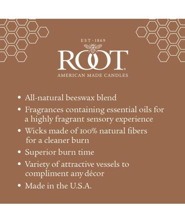 Root Candles Seeking Balance - Handcrafted Aromatherapy Spa Candle | 8-Ounce Lime + Galbanum Scented Candle for Relaxation & Cleanse - Buy Online on GoSupps.com