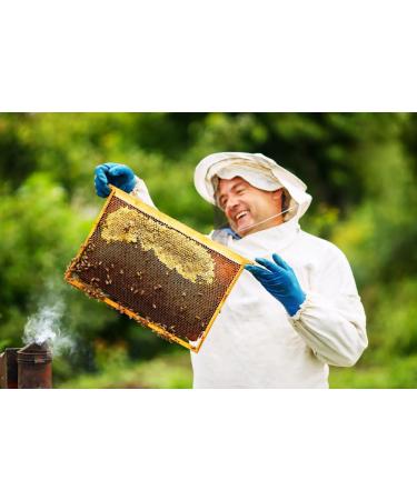 Caravella Fine Food - 4 x Italian Acacia Honey 250g - Light Sweet - Pure Raw Unpasteurized Delicate Honey - 100% Italian - Natural Sweetener (250gx 4 (1kg)) - Buy Online on GoSupps.com